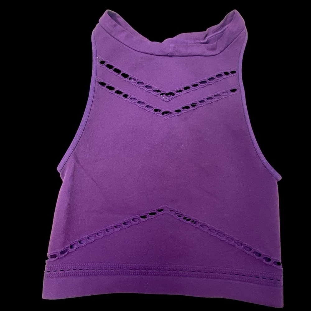NWOT FP Intimatley Long Line Mesh Bra Top in Purple Plum